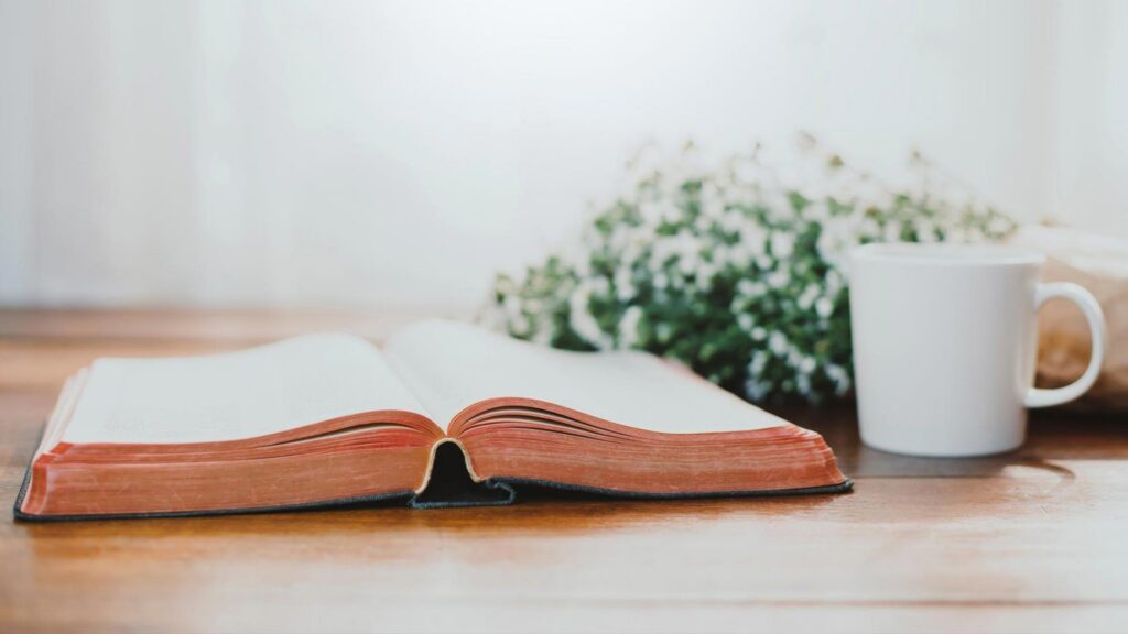 School of the Bible